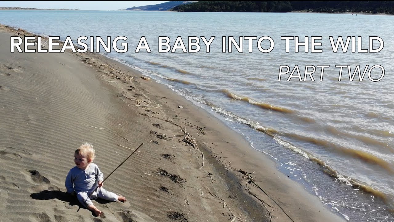 RELEASING A BABY INTO THE WILD -  PART TWO