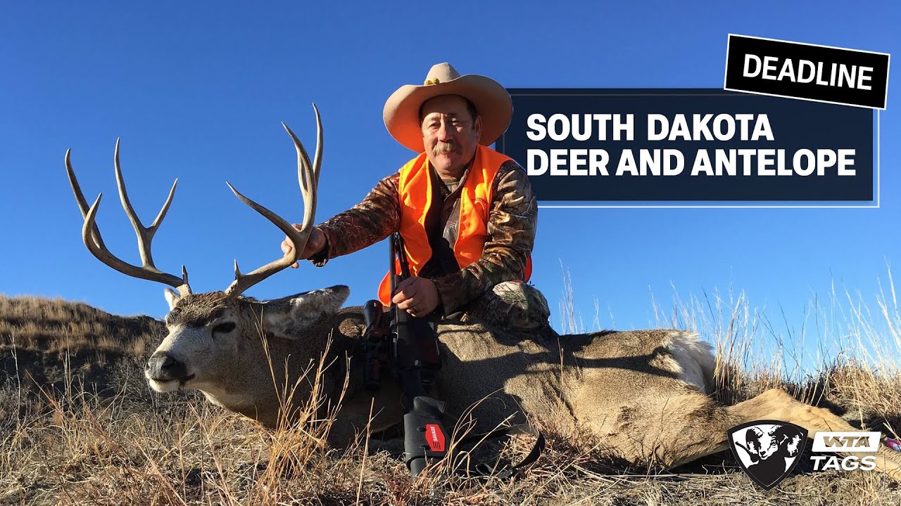 What You Need to Know about South Dakota Deer and Pronghorn Applications
