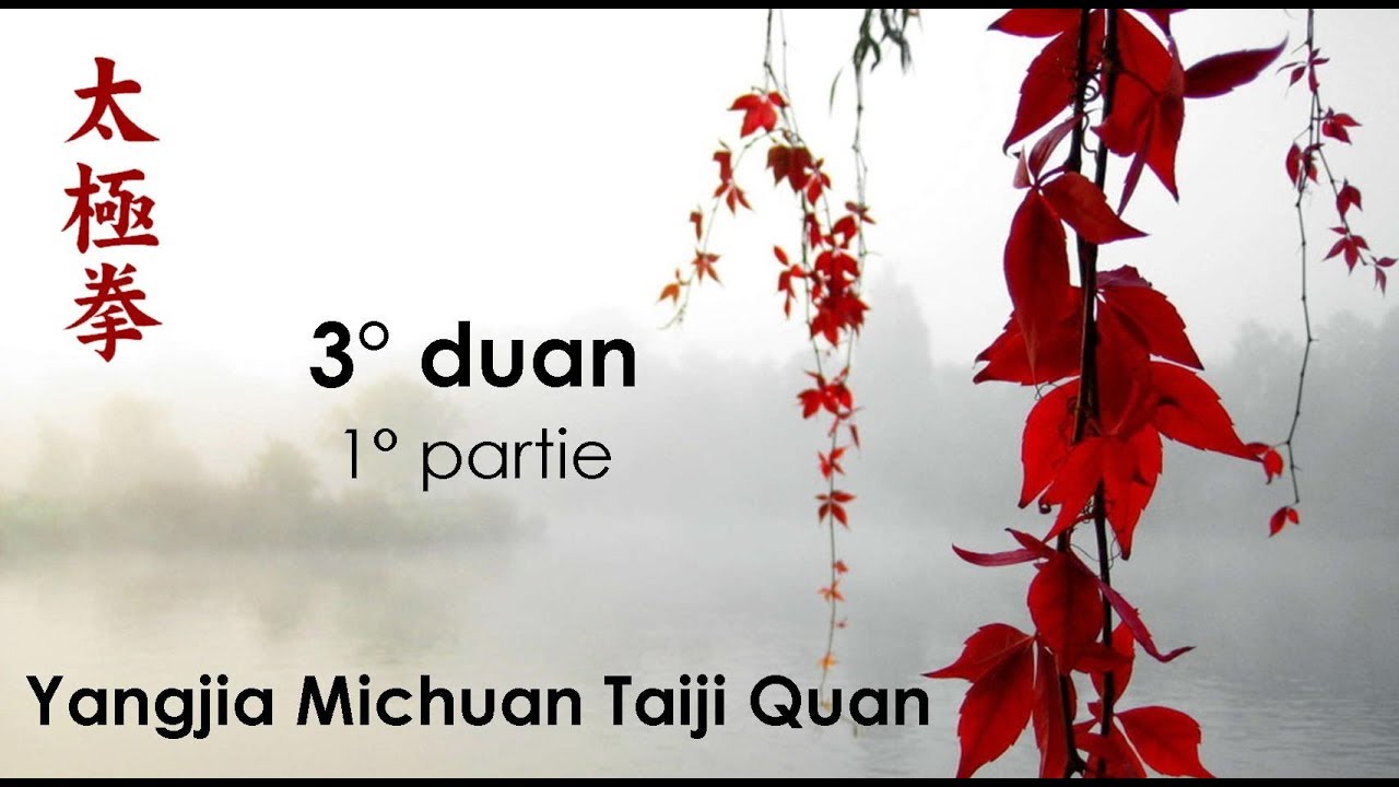 3° duan - 1° partie - Yangjia Michuan Taiji Quan