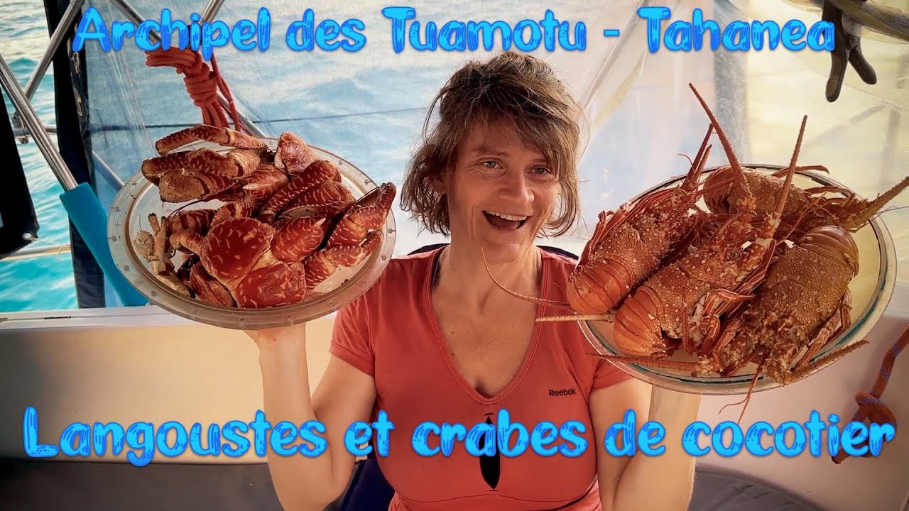 Crabes de cocotier et langoustes aux Tuamotu