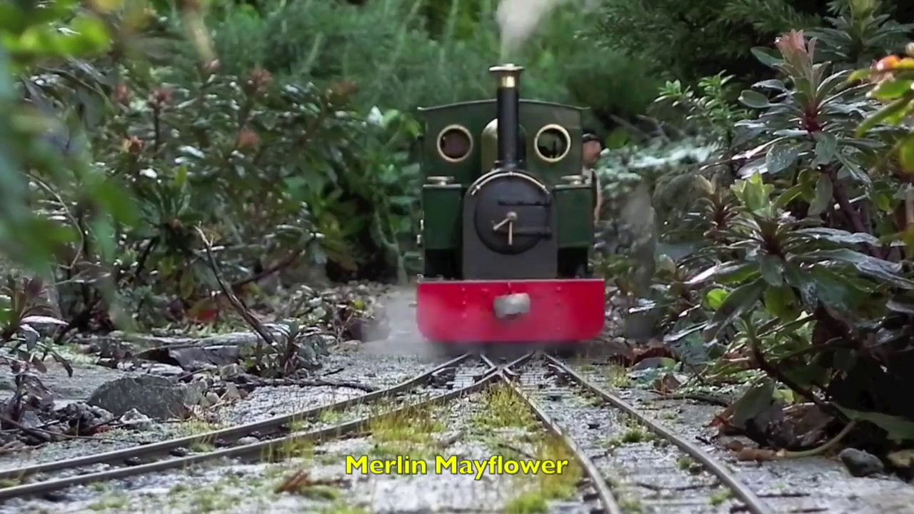 Live Steam on Two Garden Railways - A Compilation featuring 18 Locos in Action