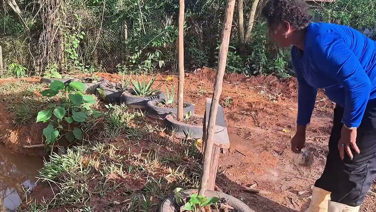 Lavamos o filtro. Não acreditei quando vi a cor da água .