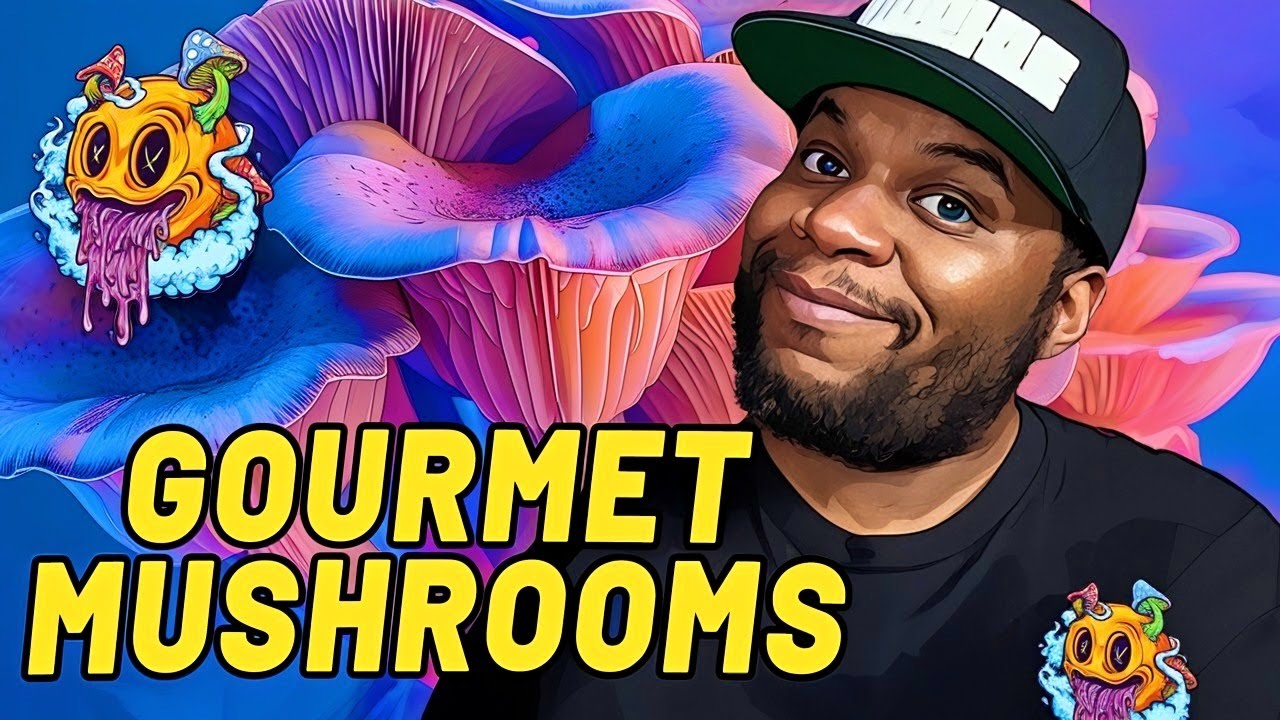 Fruiting Block To Flush - North Spore Fruiting Block | Beginner's Guide To Growing Gourmet Mushrooms