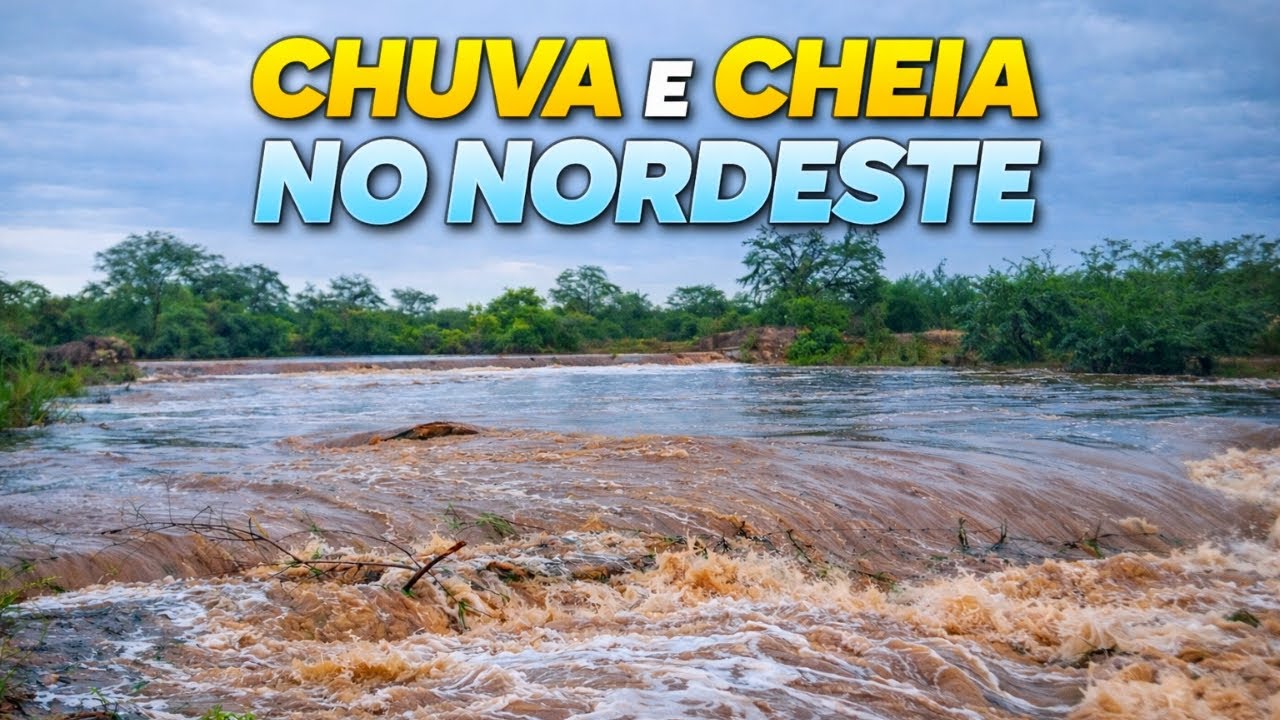 SERTÃO: VOLUME DE CHUVA IMPRESSIONA 🌵⛈️