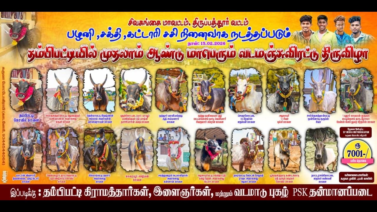♦️LIVE // தம்பிபட்டி வடமஞ்சுவிரட்டு நேரலை