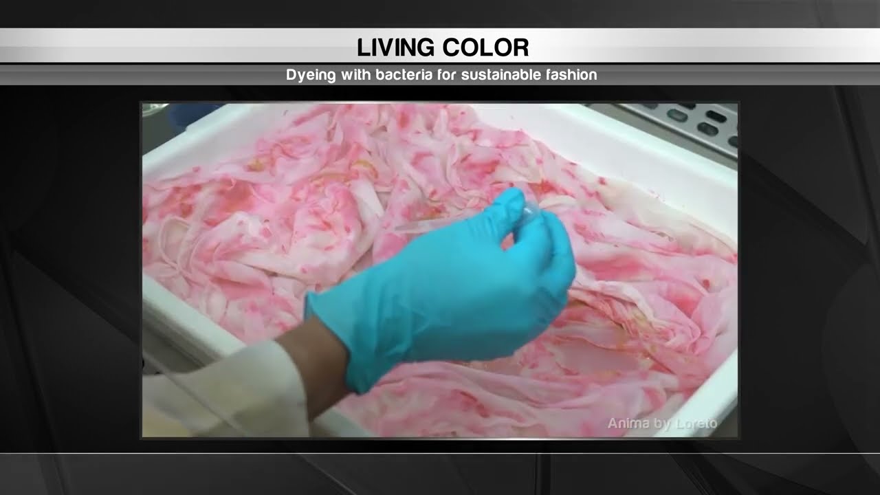 Beyond Innovation S3: Bacteria-Based Fabric Dye
