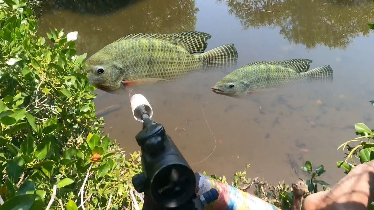 Di sini sepot ikan babon PASER IKAN NILA BABON