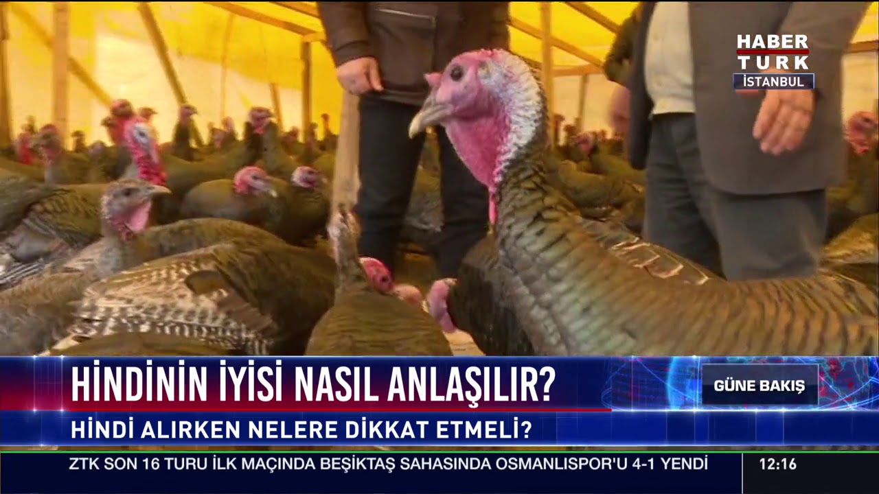 Hindinin iyisi nasıl anlaşılır?