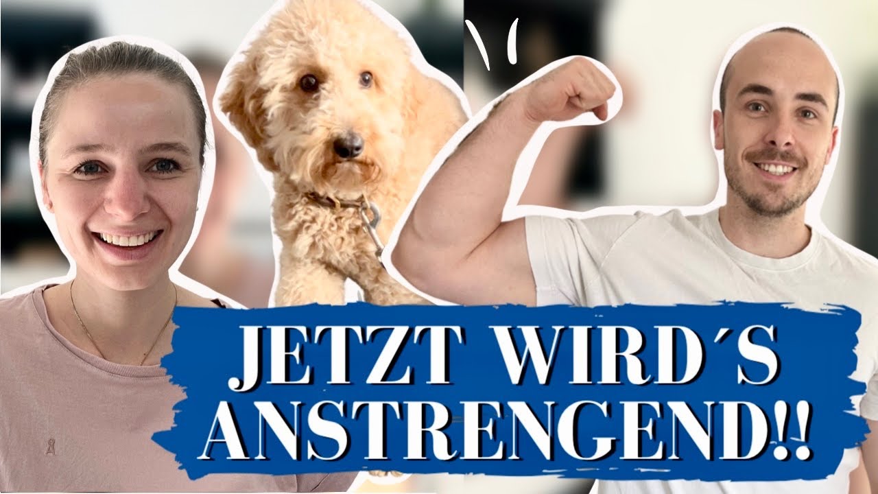 SO wird KRÜMEL FIT I HYDROTHERAPIE und TRAINING nach PATELLALUXATIONSOP