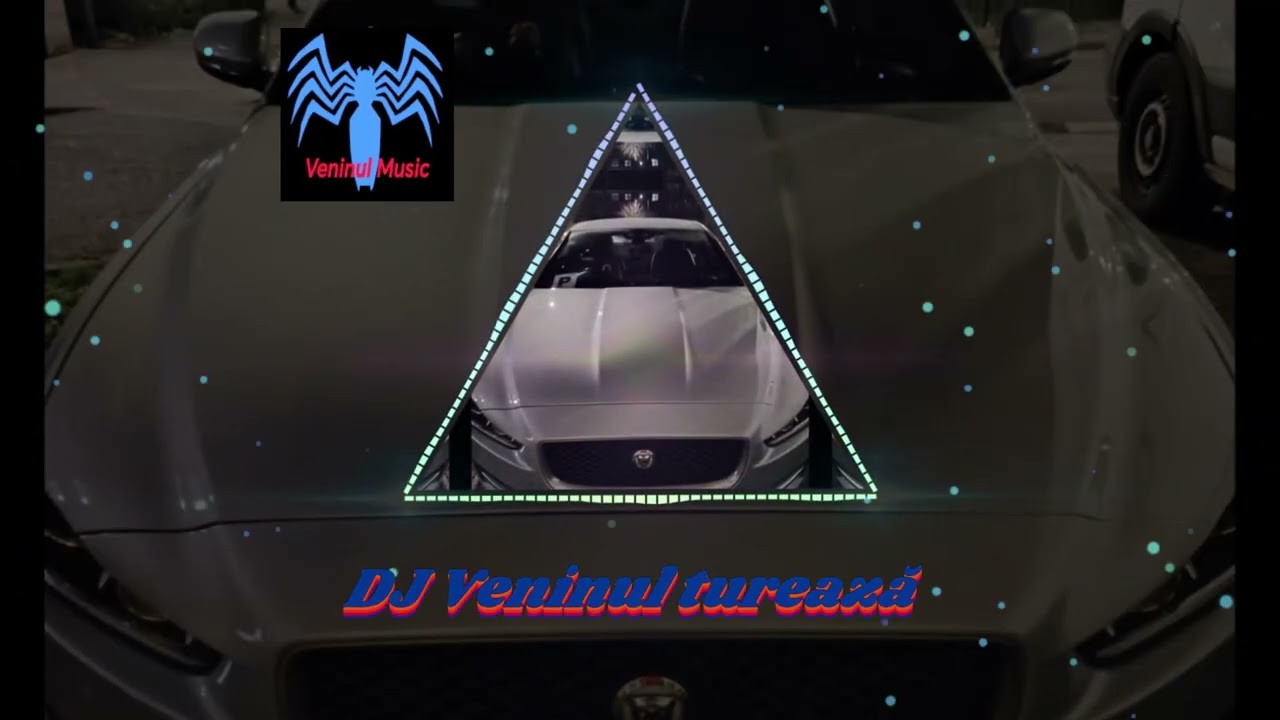 DJ Veninul turează