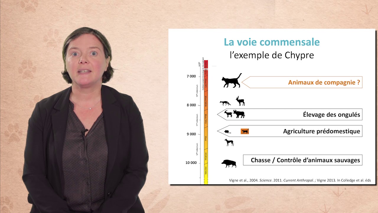 La domestication animale