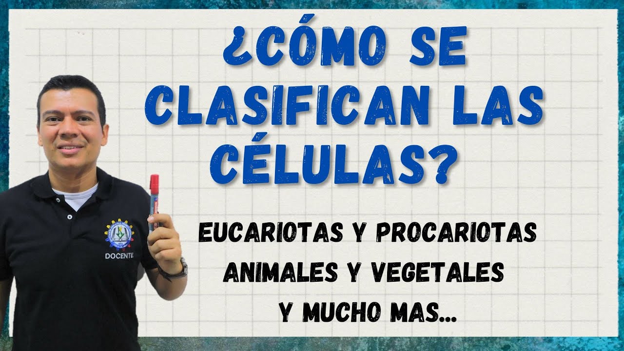 COMO SE CLASIFICAN LAS CÉLULAS. EUCARIOTAS Y PROCARIOTAS, ANIMALES Y VEGETALES, ARQUEOBACT. GRAM+..
