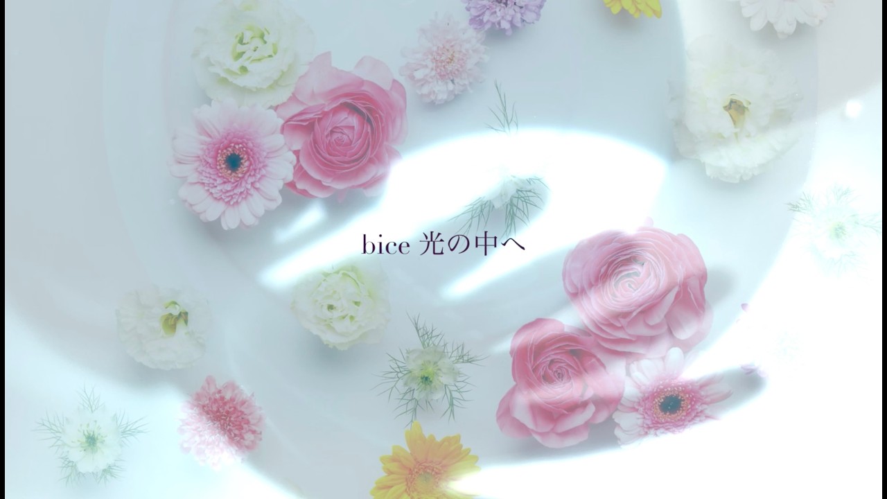 bice 「光の中へ」cover by Meimy