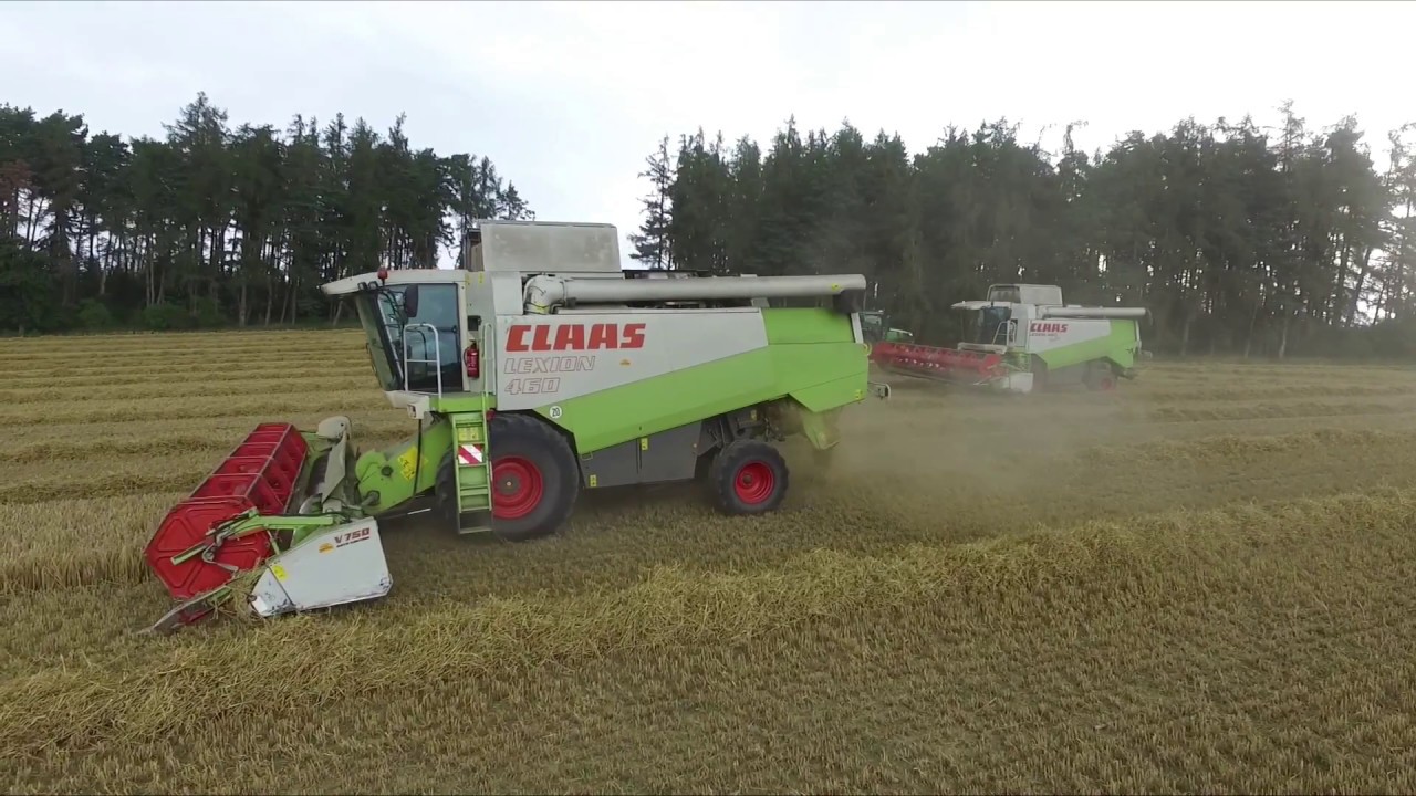 Žně 2018 - ozim&eacute; ječmeny ZD Pňovice