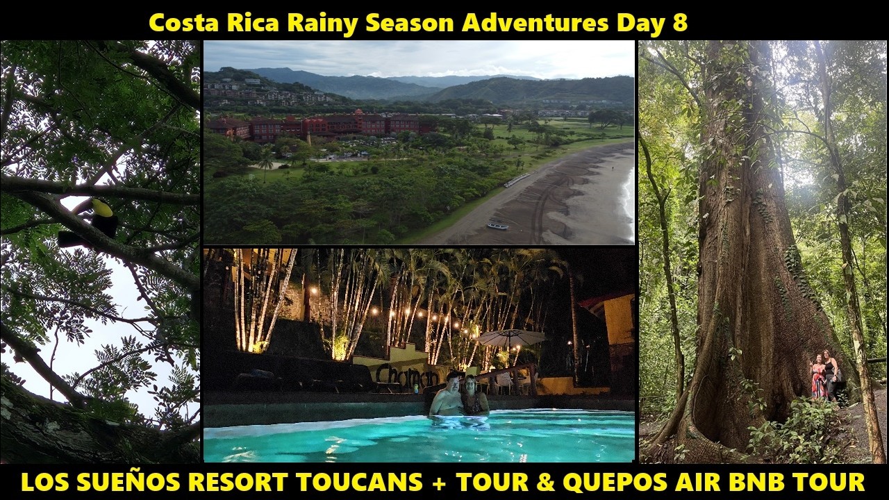 Costa Rica LOS SUEÑOS RESORT Toucans & A Tour! Tasty Termites + AIR BNB In Quepos. Rainy Season Day8