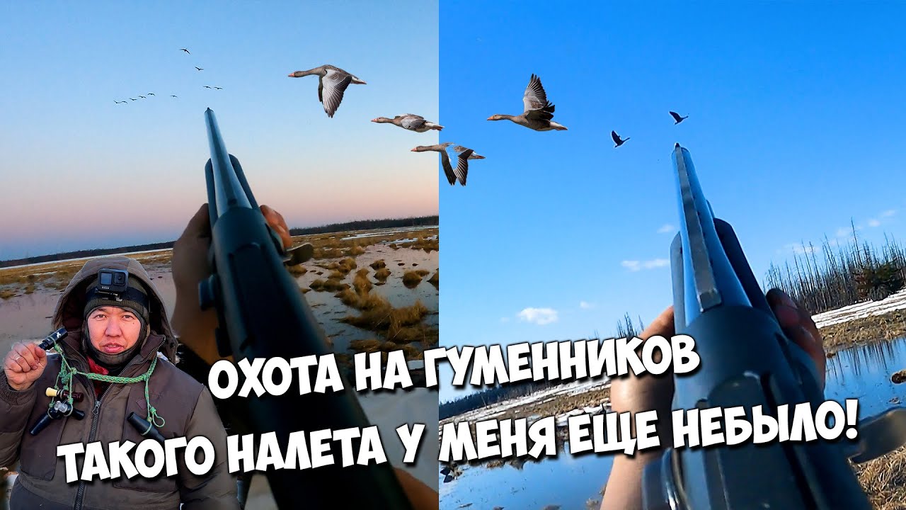Охота на гуся в Якутии. Такого у нас еще не было!