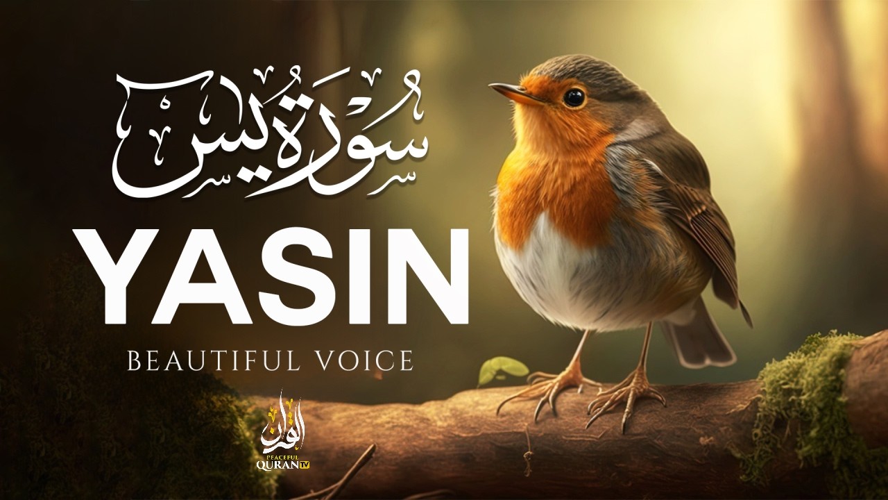 Surah Yaseen (Yasin) سورة يس | Soft Relaxing Night Recitation for Peaceful Sleep #relaxingquran