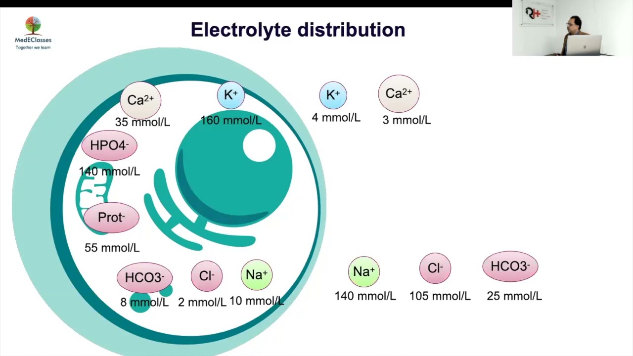 MedEClasses Module Approach to Renal Tubular Acidosis