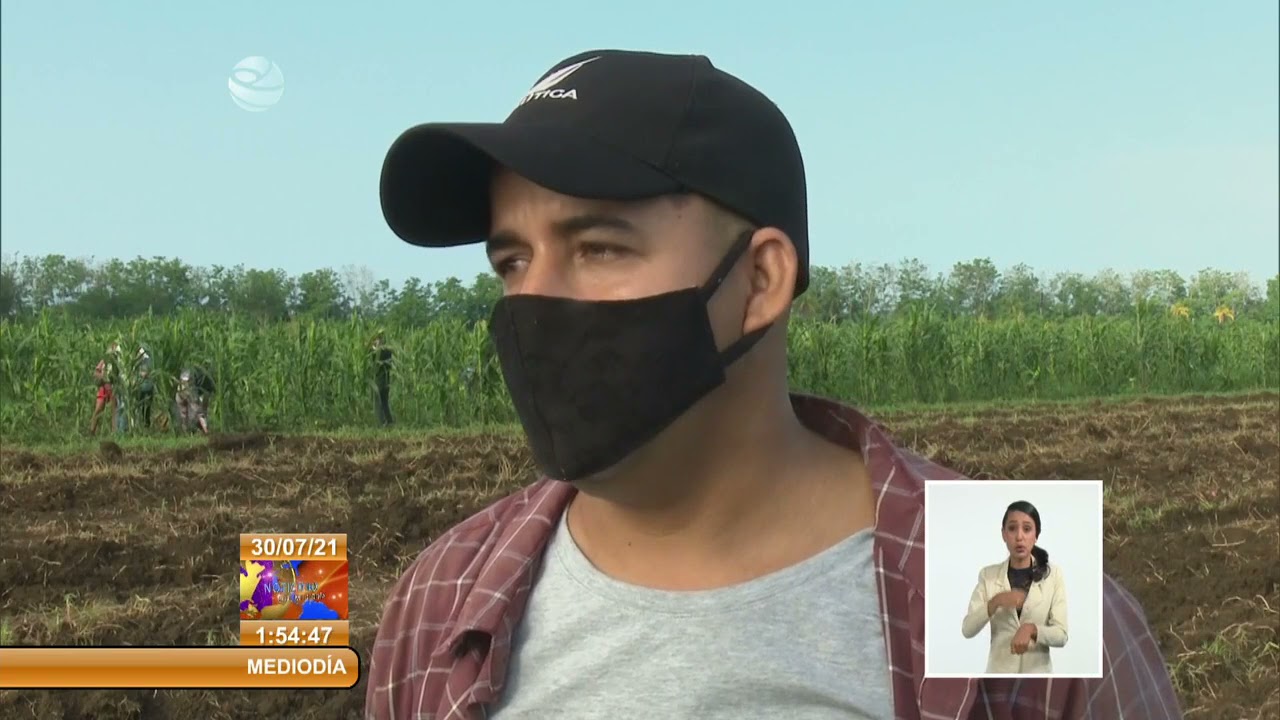 Tierras en usufructo comienza a rendir sus frutos en Cuba