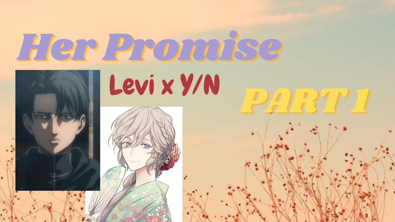 Her Promise (part 1) • Levi x y/n AOT text story