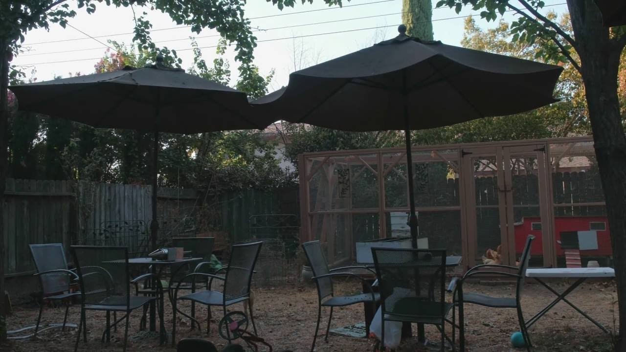 Fujifilm X-T2 - High Contrast Scene Test - GRADED - Read Description.