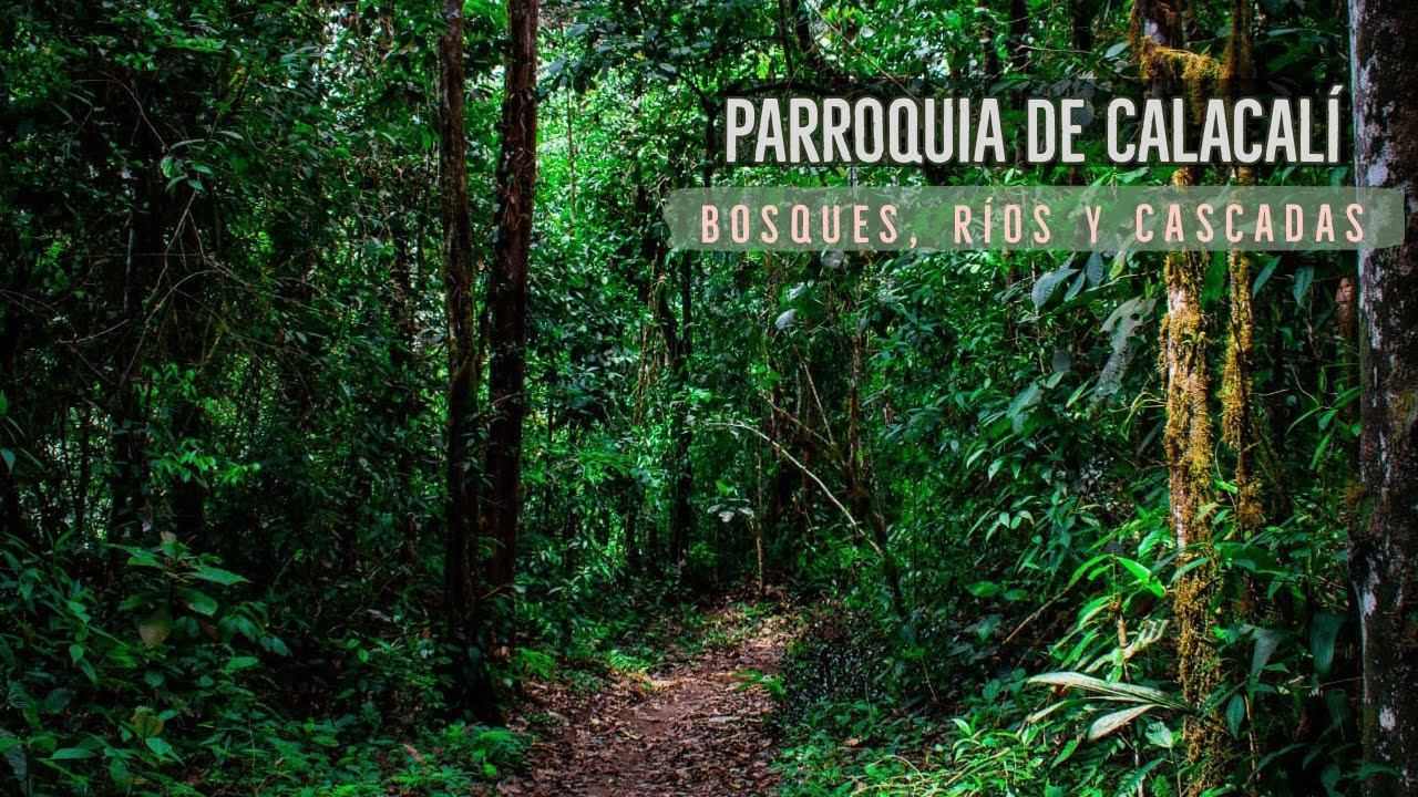 Los Bosques de Calacalí | Turismo Pichincha 2021