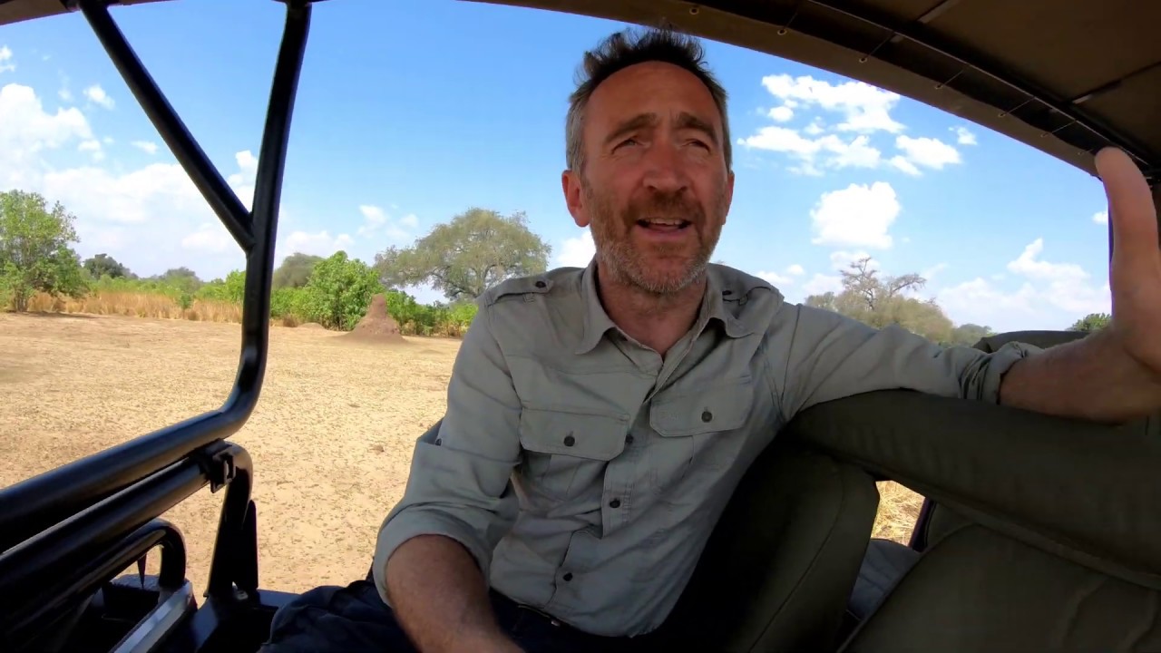 Where to go on your first safari to Africa