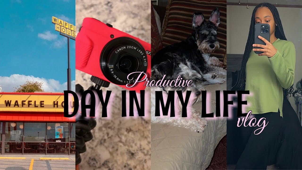 DIML🌱: spend 24hrs w me, dog mom/shopping spree, waffle house date, painting silhouettes + more