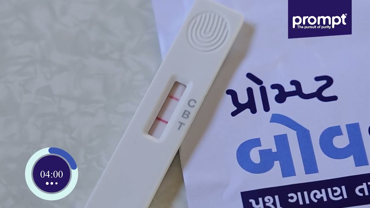 પ્રોમ્પ્ટ બોવઇઝીથી મેળવો પરિણામ ફક્ત 3 સરળ સ્ટેપમાં.