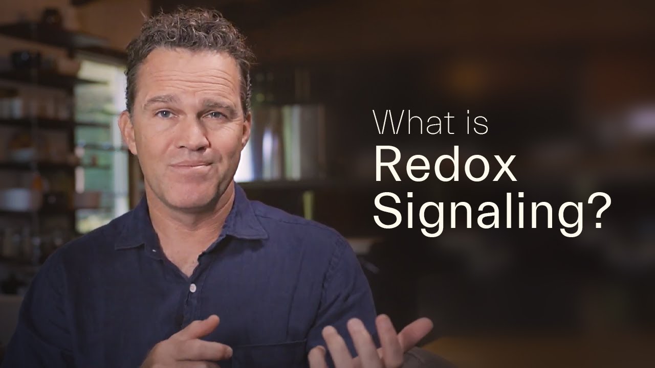 What is Redox Signaling? with Zach Bush MD - ION*