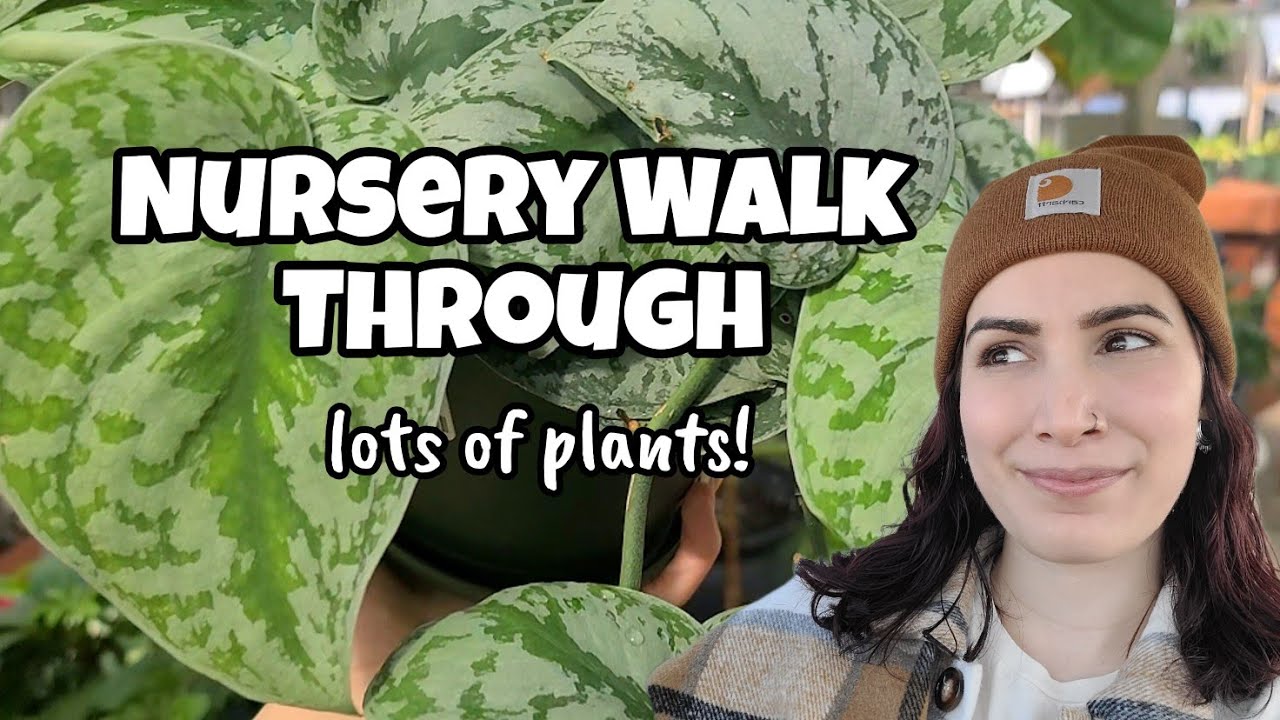 Moscarillo's Garden Shoppe Walk Through! 🌿✨️ looking at pretty plants & shopping around ☺️