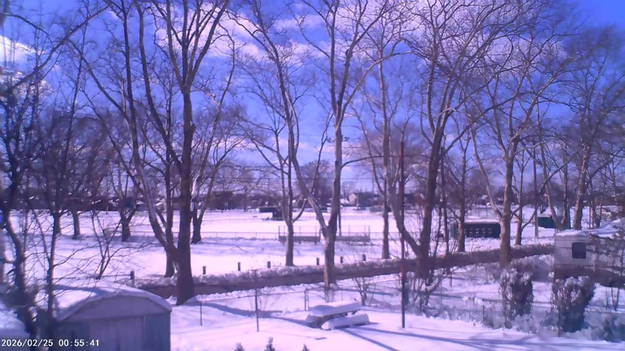 Mothman’s Chamber 005/ Winter landscape