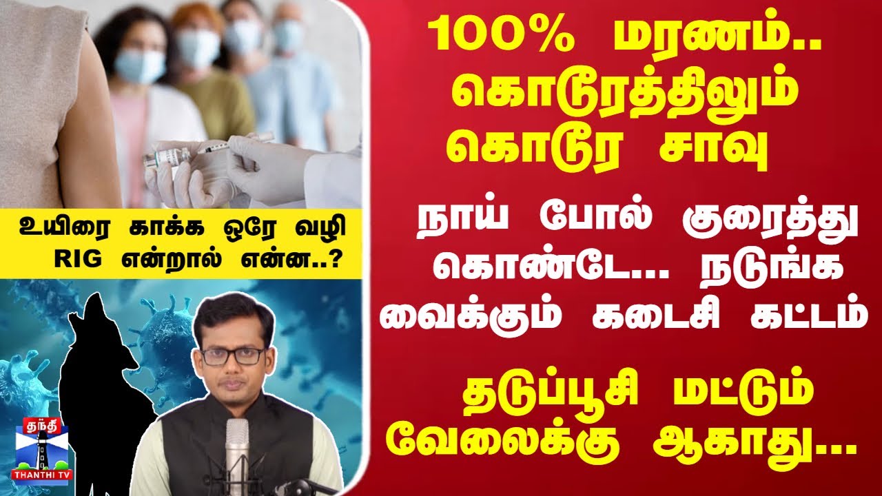 Rabies | Dog | 100% மரணம்.. நடுங்க வைக்கும் கடைசி கட்டம் உயிரை காக்க ஒரே வழி - RIG என்றால் என்ன..?