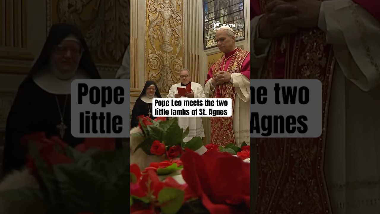 These two lambs will now travel to the Nuns in Trastevere | January 21, 2026