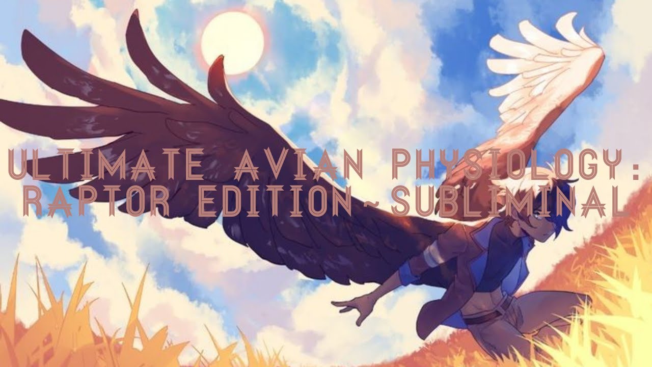 ⊱🎟 ❝𝐁𝐢𝐫𝐝 𝐨𝐟 𝐏𝐫𝐞𝐲❞ Ultimate Avian Physiology: Raptor Edition～Subliminal