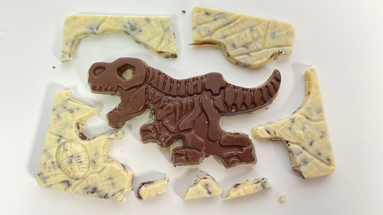キャラパキ 発掘恐竜チョコ アイスエイジver.『1BOX 開封』Excavated dinosaur fossil Chocolate Ice age ver.