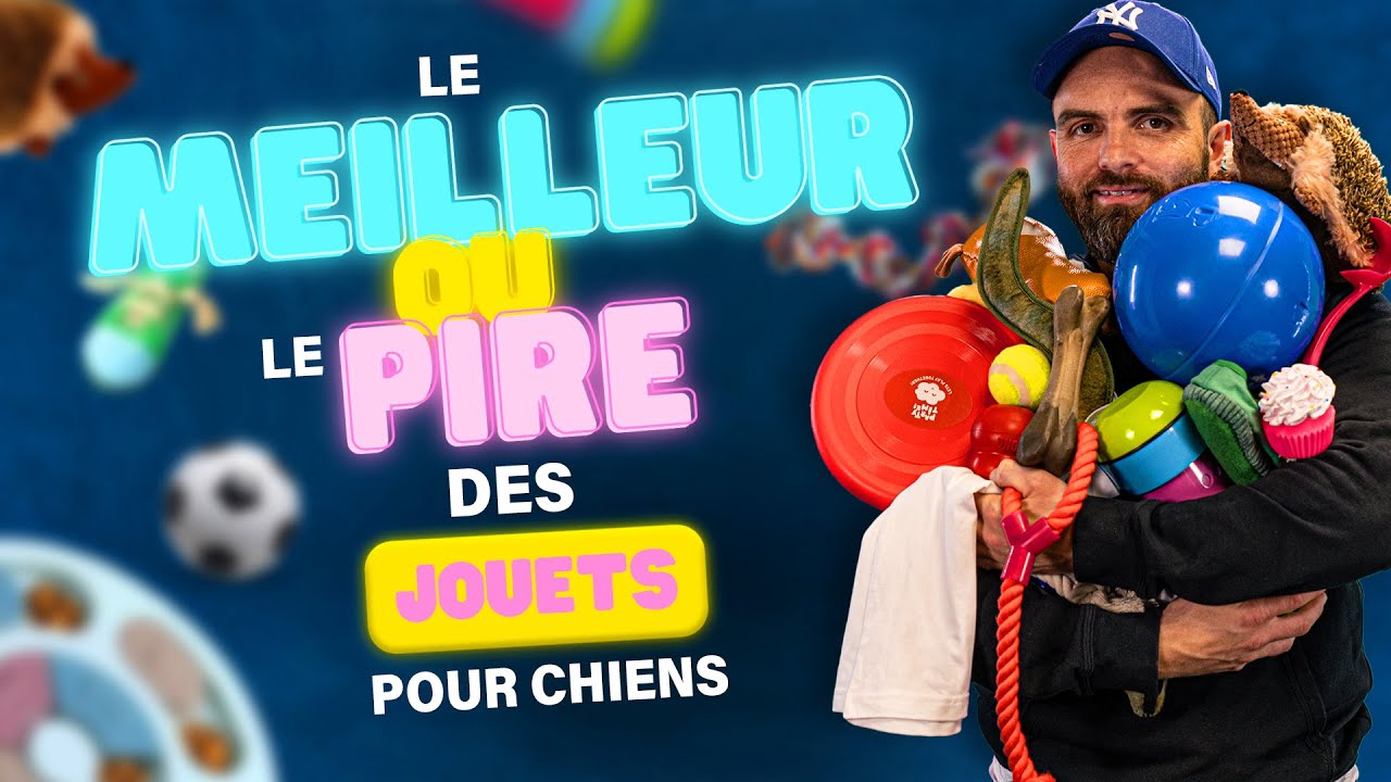 JOUETS pour CHIENS - les Meilleurs ⚡️ Pires