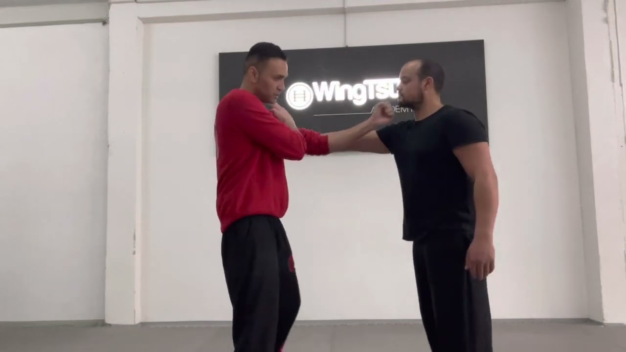 Anwendung aus der Siu nim Tao Form / How do I apply to wing tsun Academy? #WingTsunAcademy