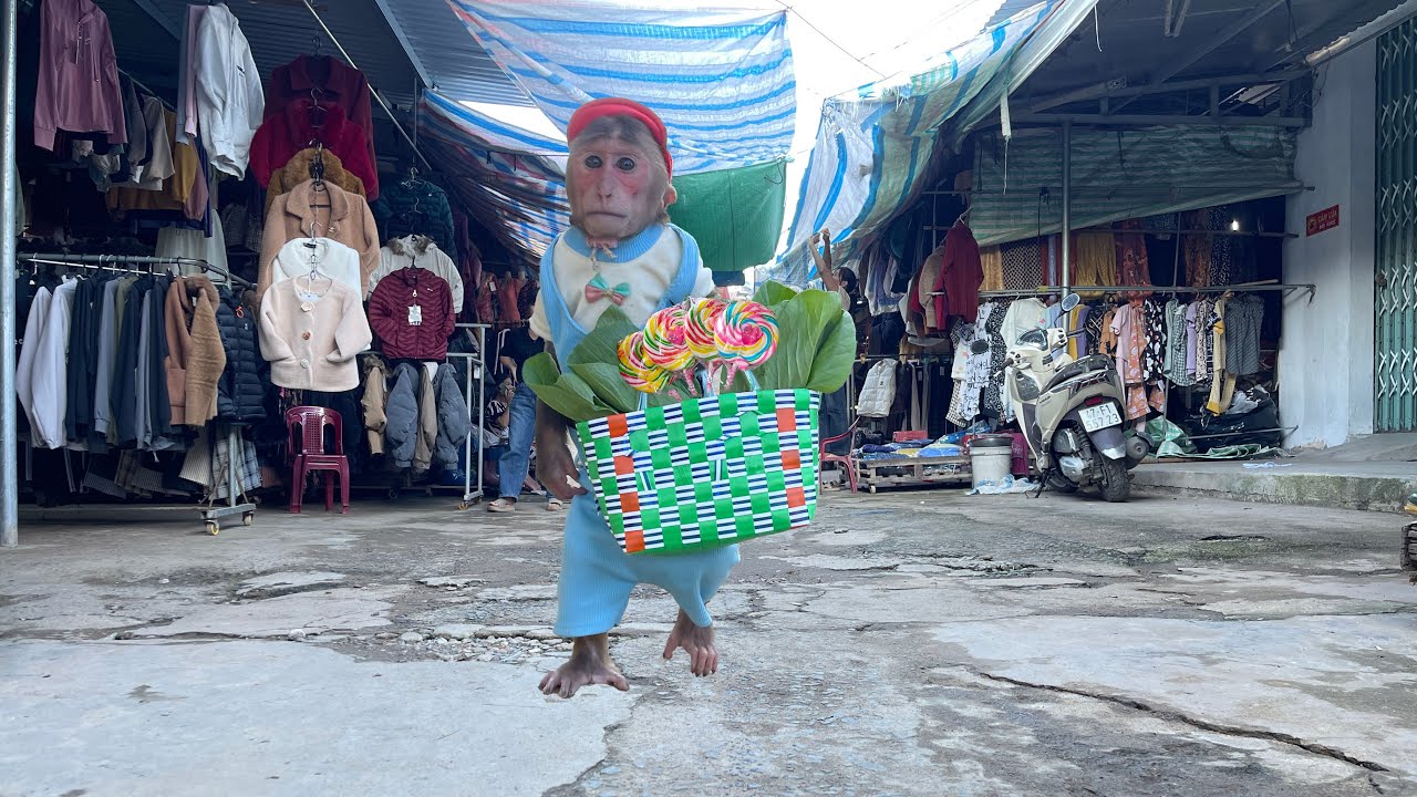 Unbelievable! Super Cubis Helped Dad Go to the Market! 🛒