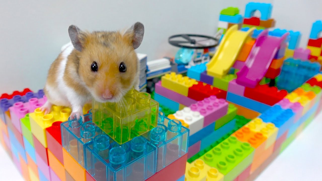 【レゴ技】ハムスターにレゴで迷路作ってみた！警察ごっこ 寸劇 DIY LEGO Maze for Hamster🐹Obstacle Course Escape the Castle