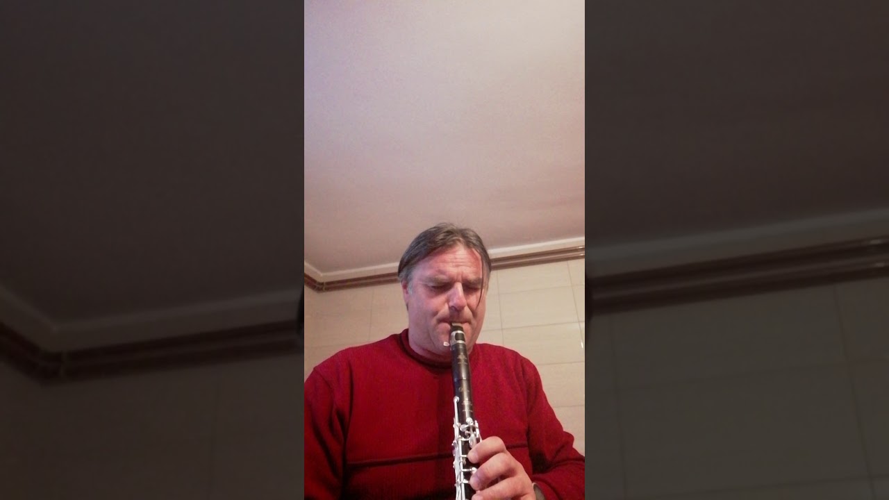 PASTIRČEK-Hirtenlied (V. S. Avsenik), klarinet : Damijan Kolarič