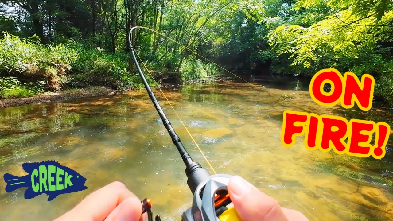When That Creek Fishing Bite is on FIRE