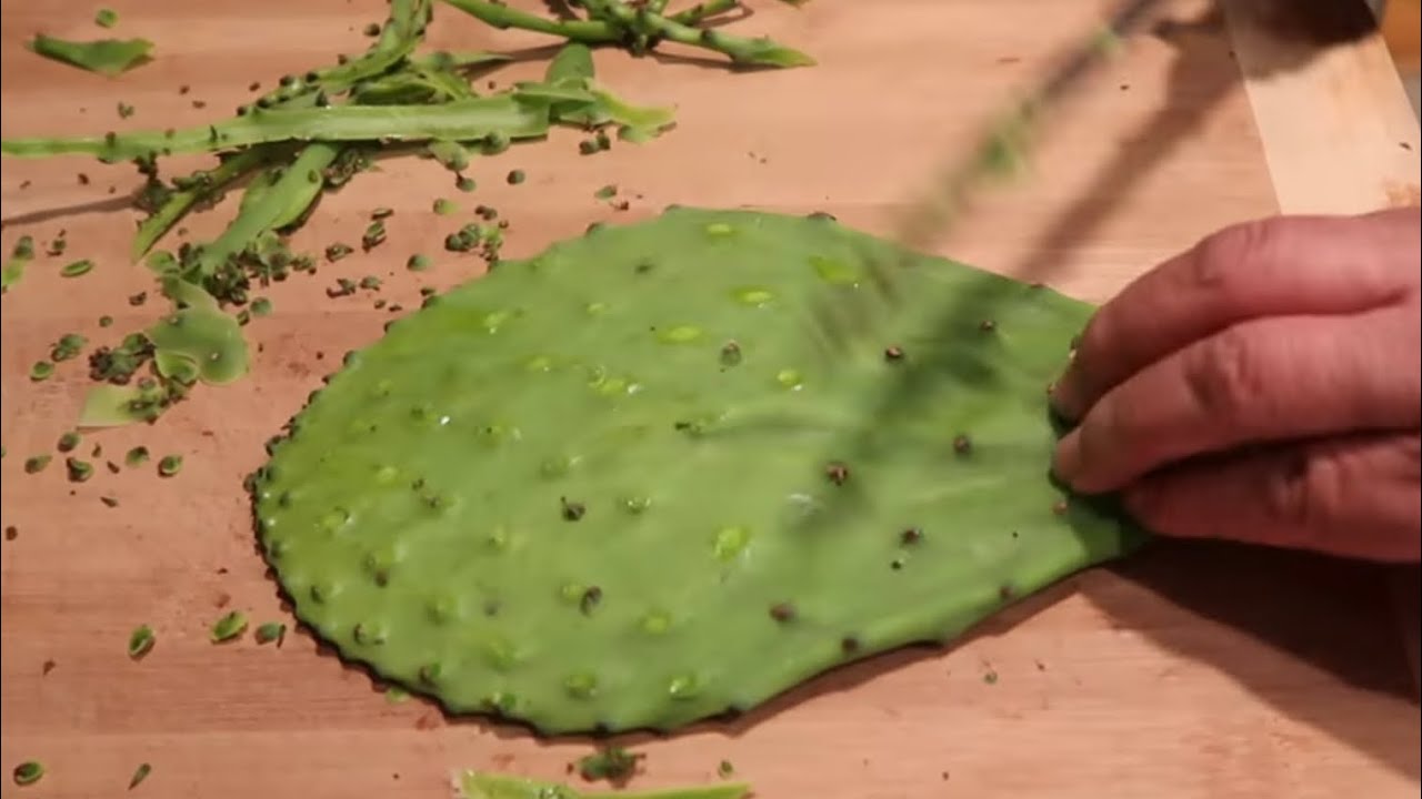 Como Limpiar Nopales FACIL y RÁPIDO Fácilmente SIN MIEDO !!!!