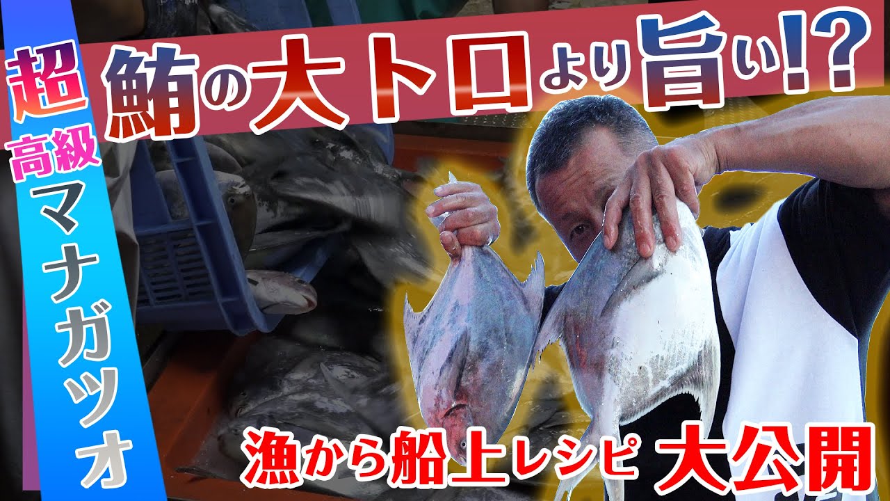 【漁師大絶賛のマナガツオ】刺身はマグロの大トロより旨い!!　煮付けは上質な鰻を超える！!　塩飽海面のバッシャの網やりを１日分全て公開!!!