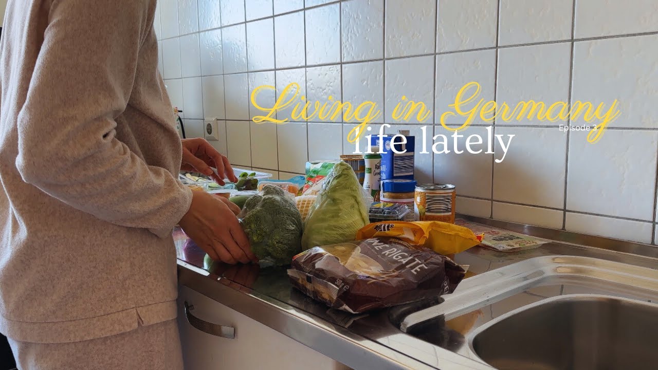 Europe Diaries 🇪🇺 ⎢Life in Germany 🇩🇪 ⎮ Winter Routine for Mental Health ❄️ ⎮ Digital Diary 📔
