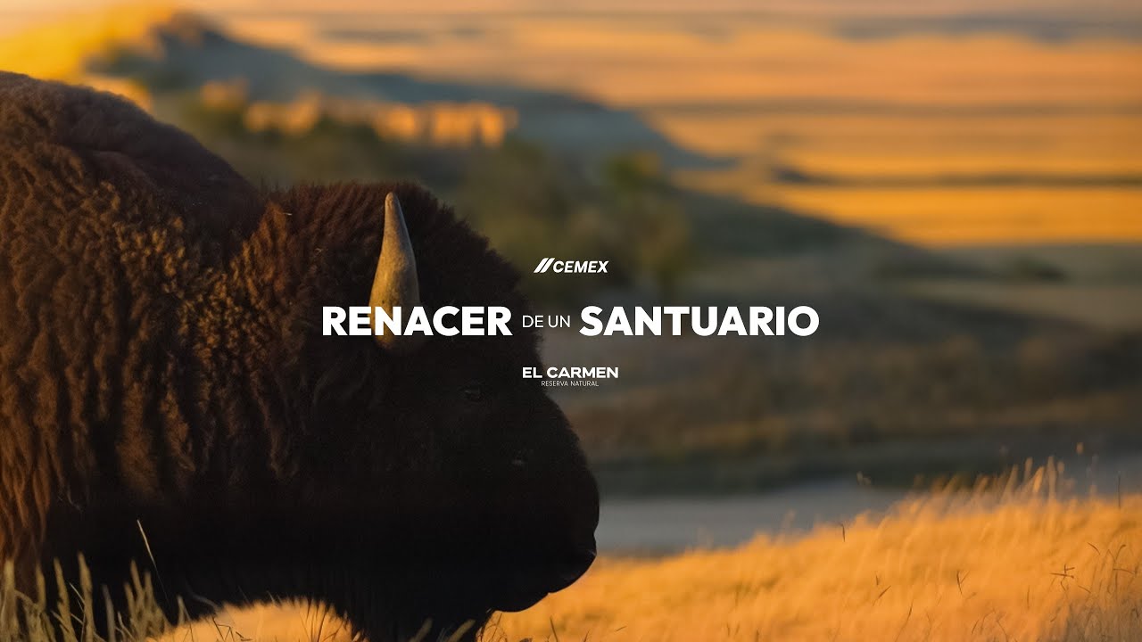 Reserva Natural El Carmen: Renacer de un Santuario