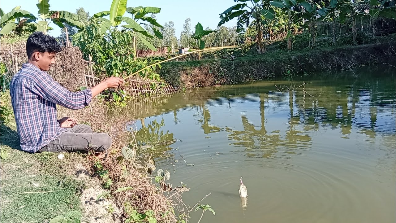 Village Hook Fishing in Rainy Season – Amazing Catch