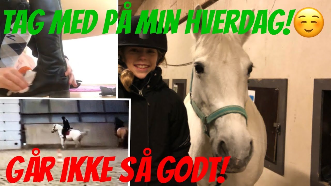 Hverdagsvlog & ridning. (Tjek beskrivelsen)