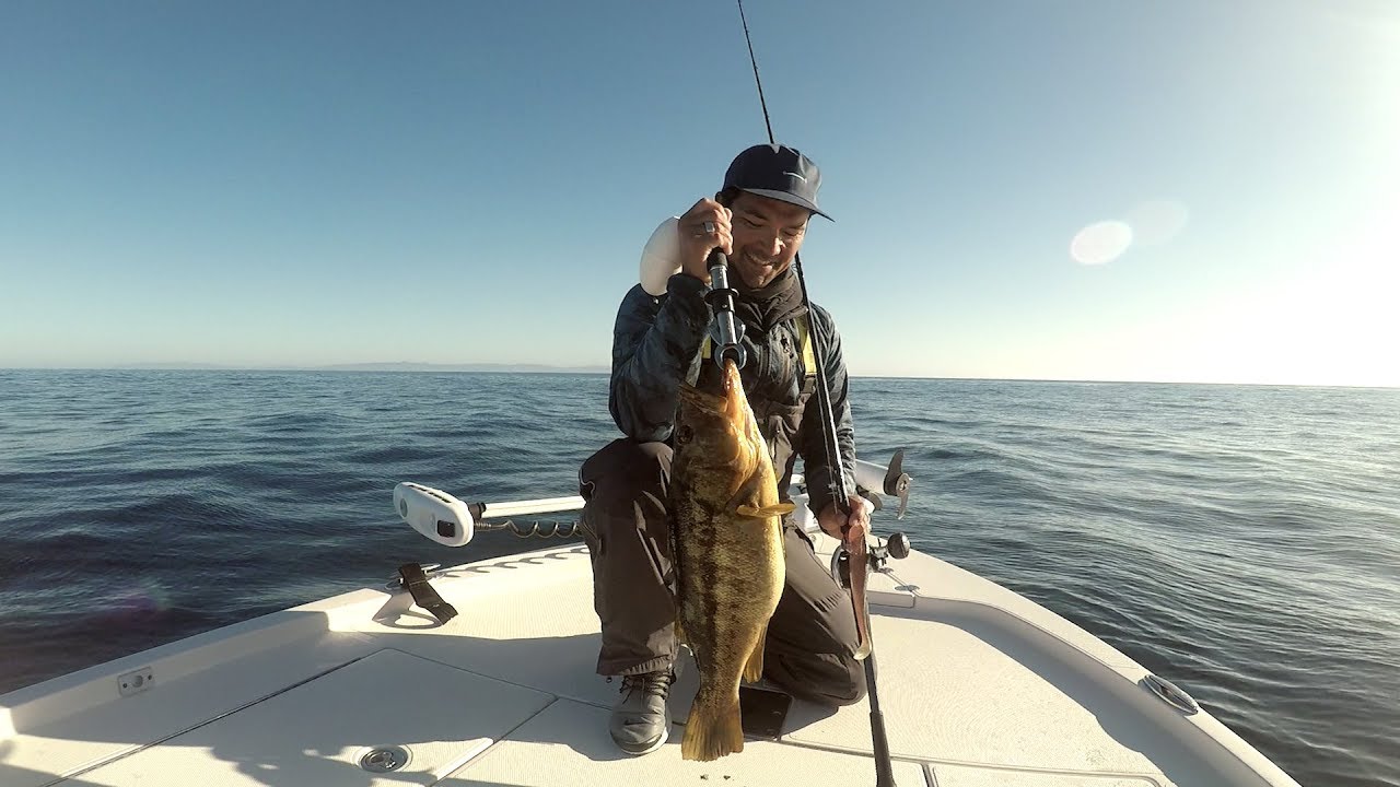 Full Body Experience - Weedless Swimbait Fishing for Bass