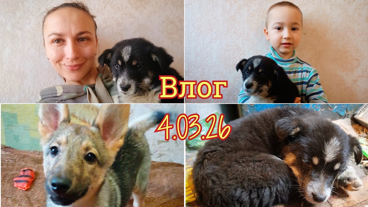Vlog 4.03.2026